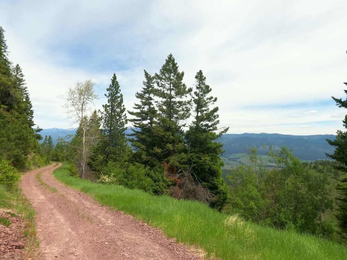 Corral Creek Rd 2146 photo 5