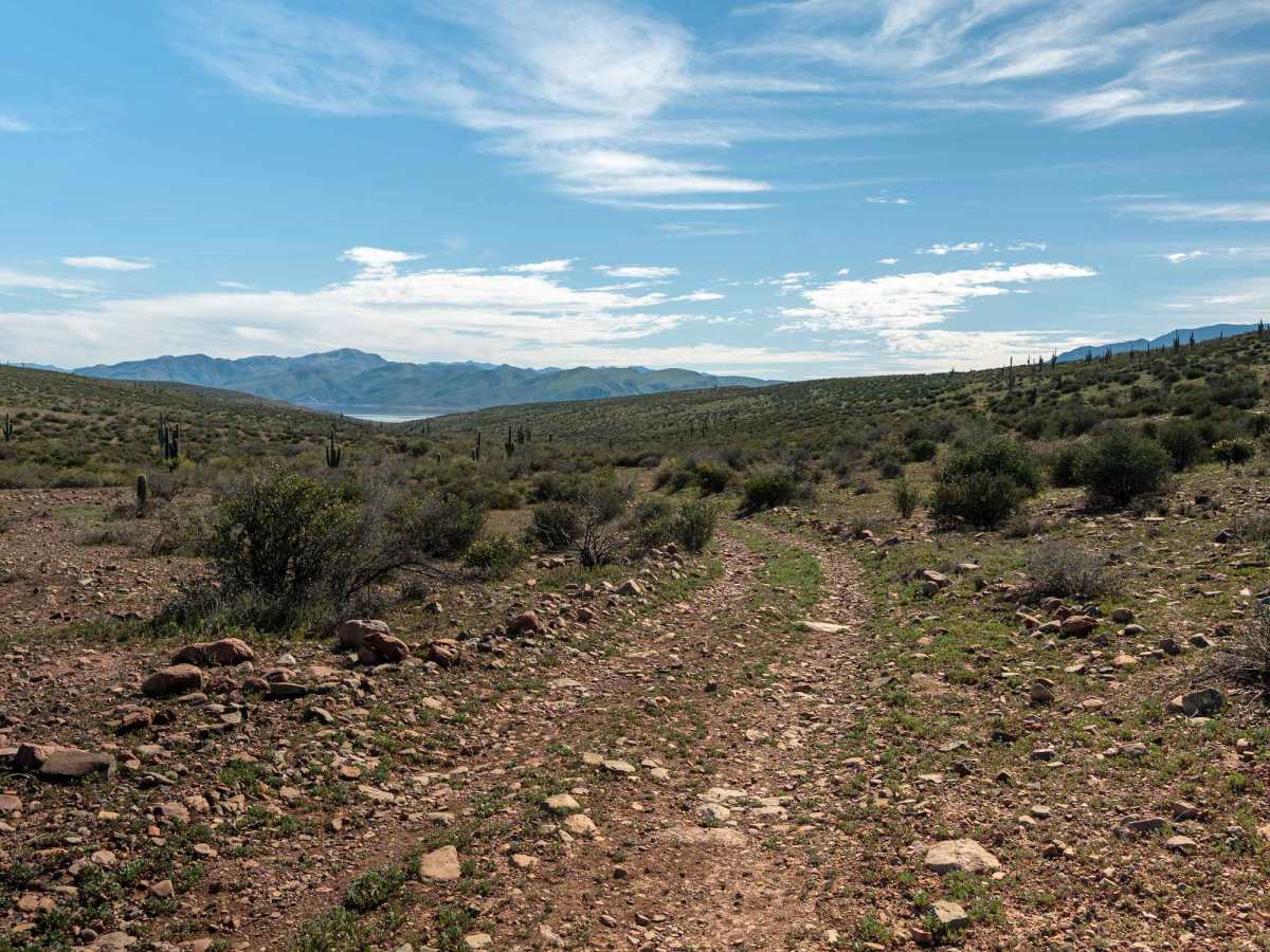 FS 1430 trail photo