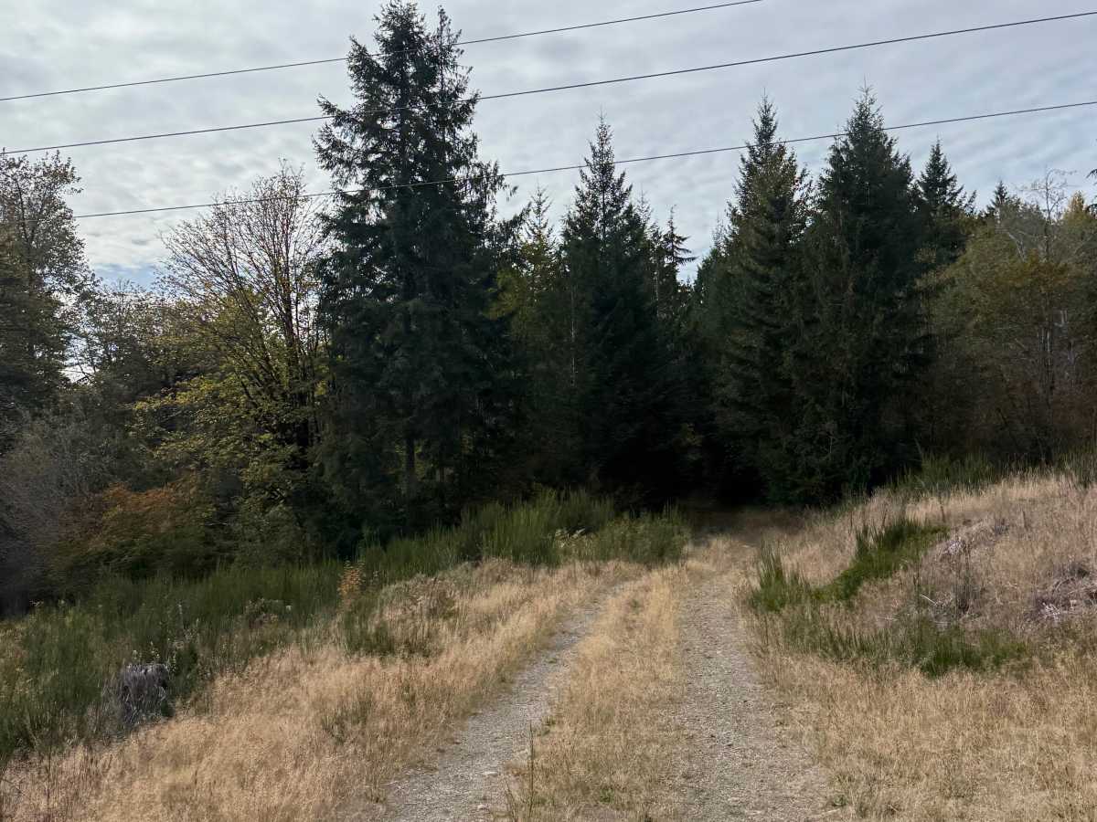 Powerline Connector Trail photo 3