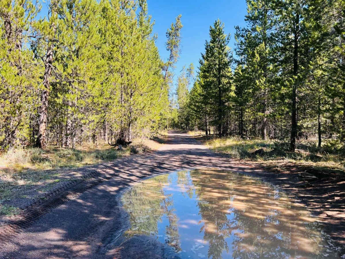 Stage Trail photo 4