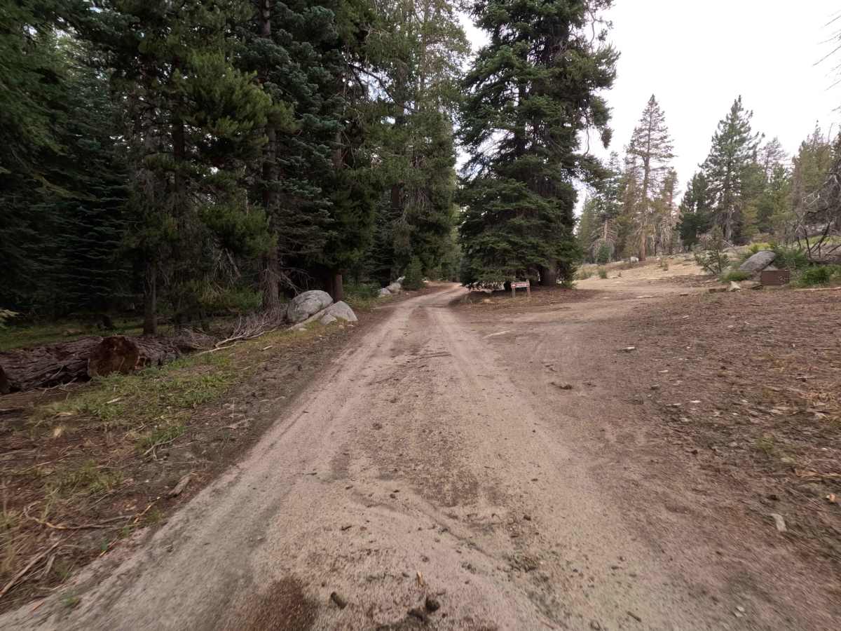Stump Springs Road - FS 7S005 trail photo