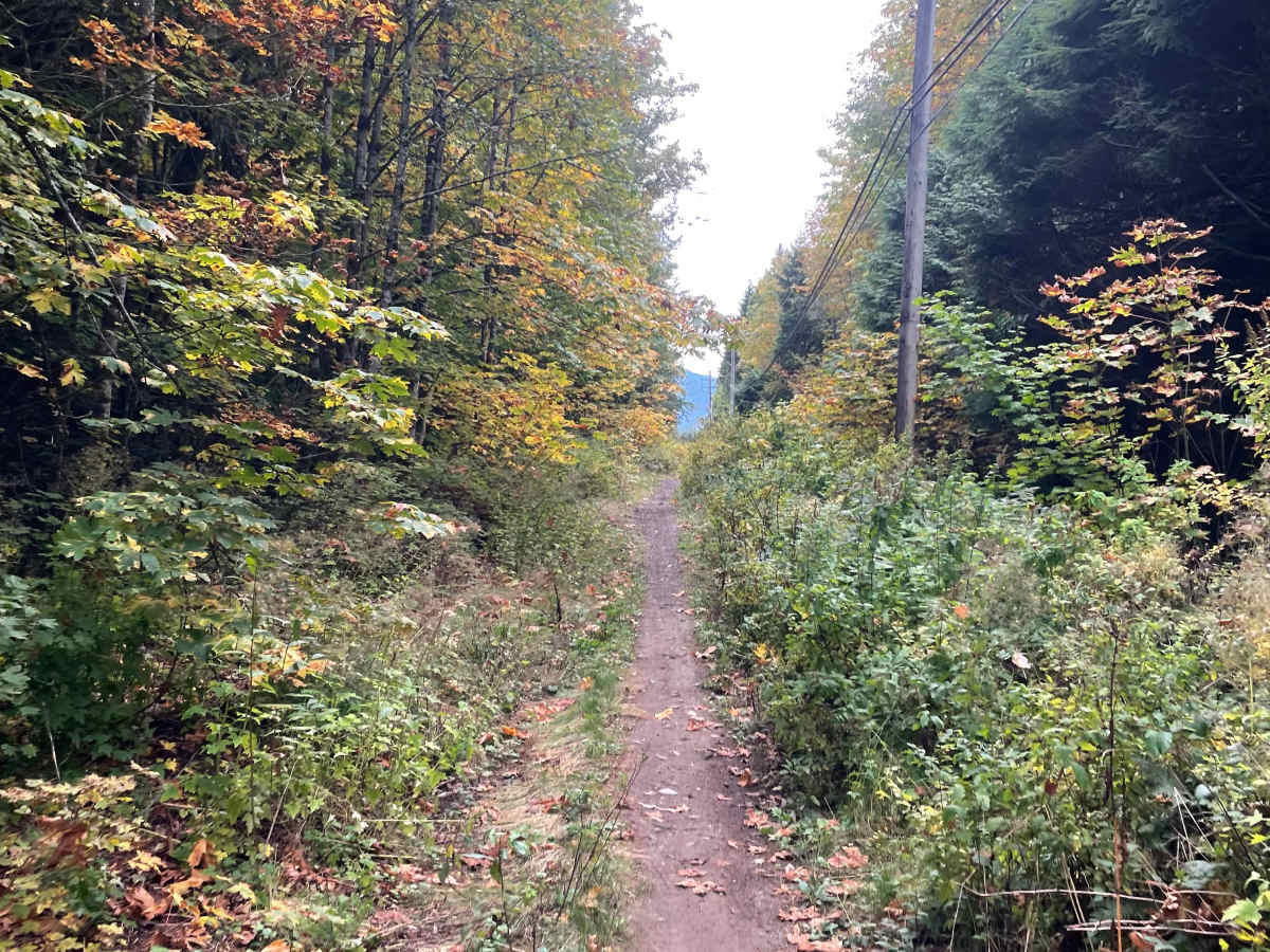 Old Government Road Single Track photo 3