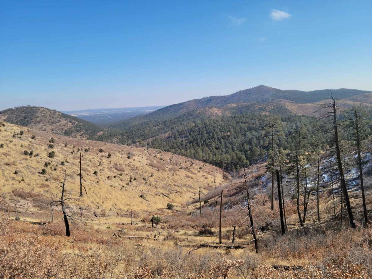 Red Cloud Trail photo 3