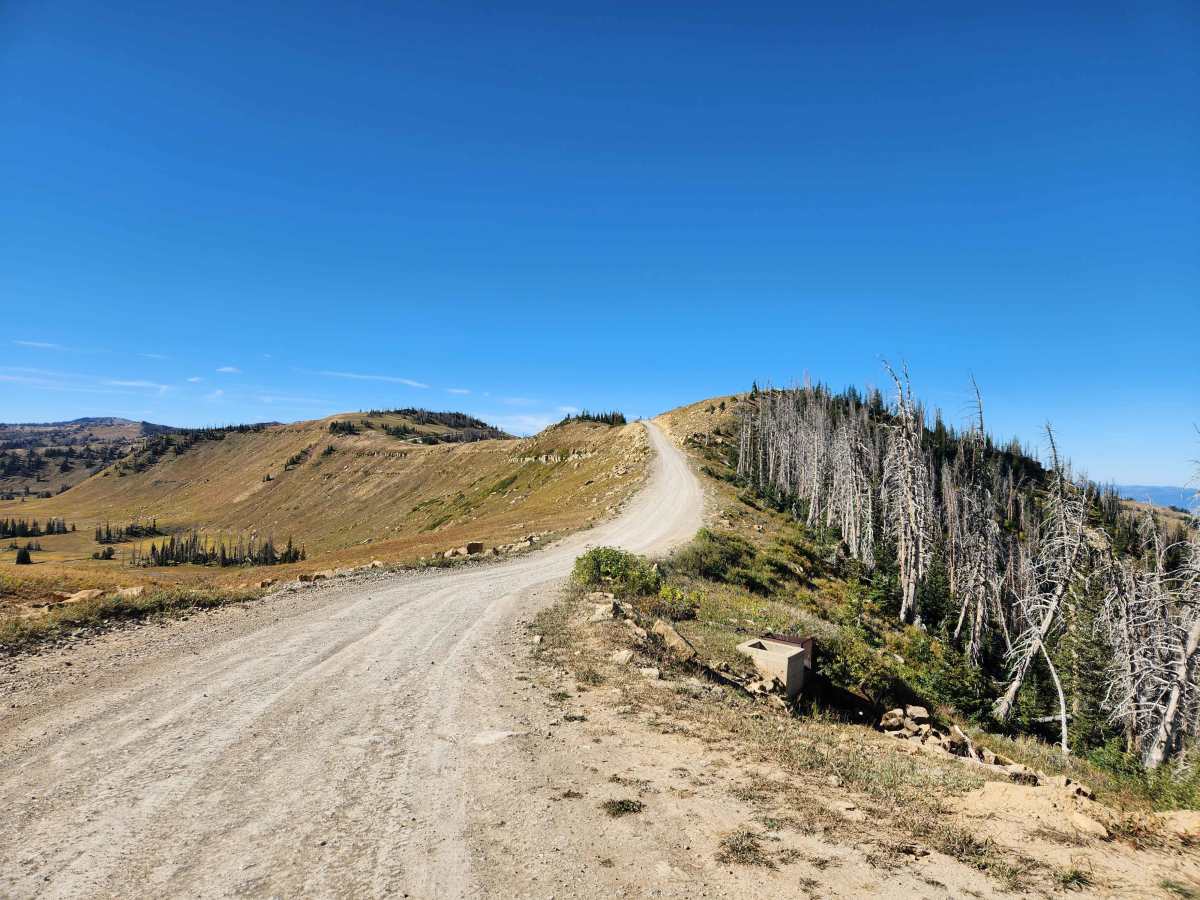 Skyline Drive - FS 50150 trail photo