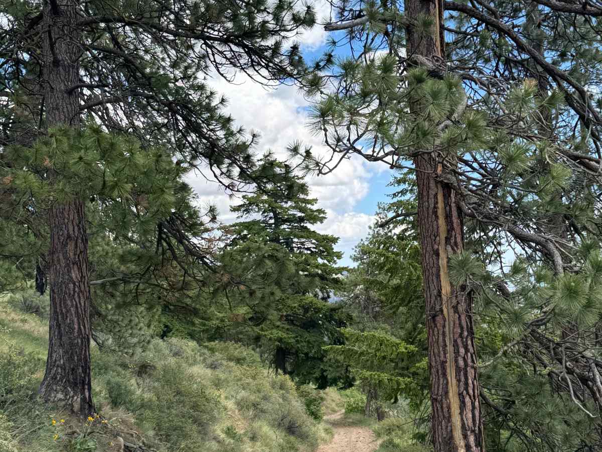 Mud Lake Road photo 4