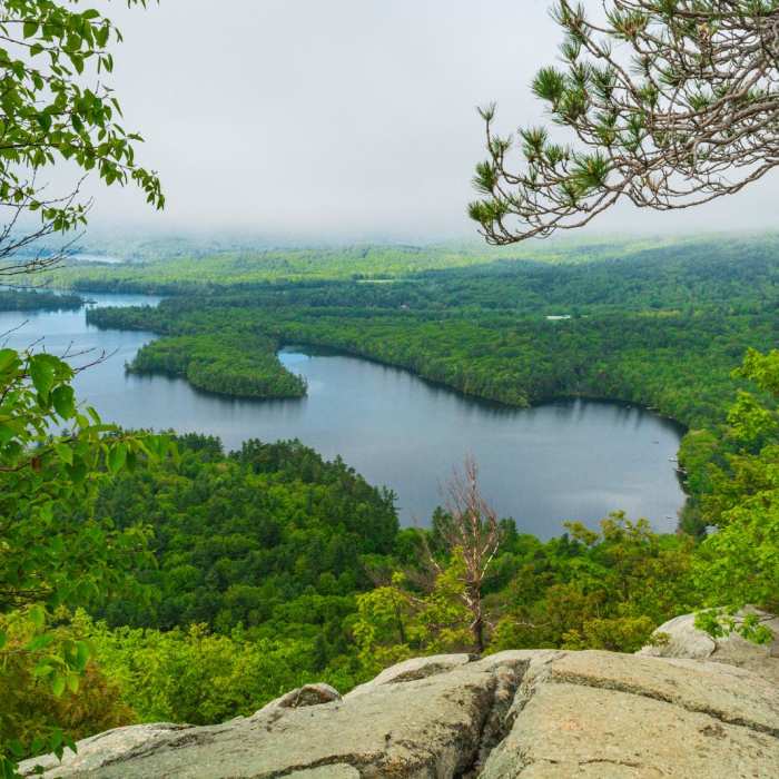 Near Rattlesnake Near Rattlesnake