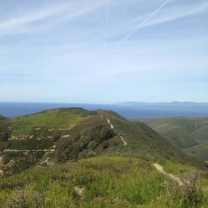 Near Oats Peak Trail