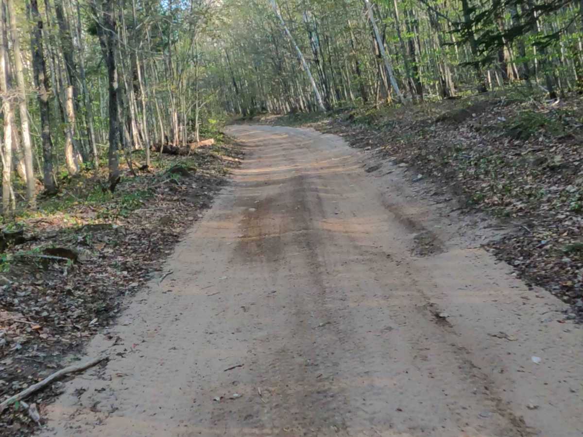 North Brumm Road photo 5