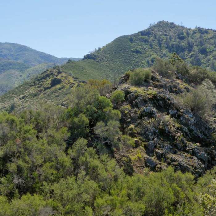 Near Eagle Peak Loop