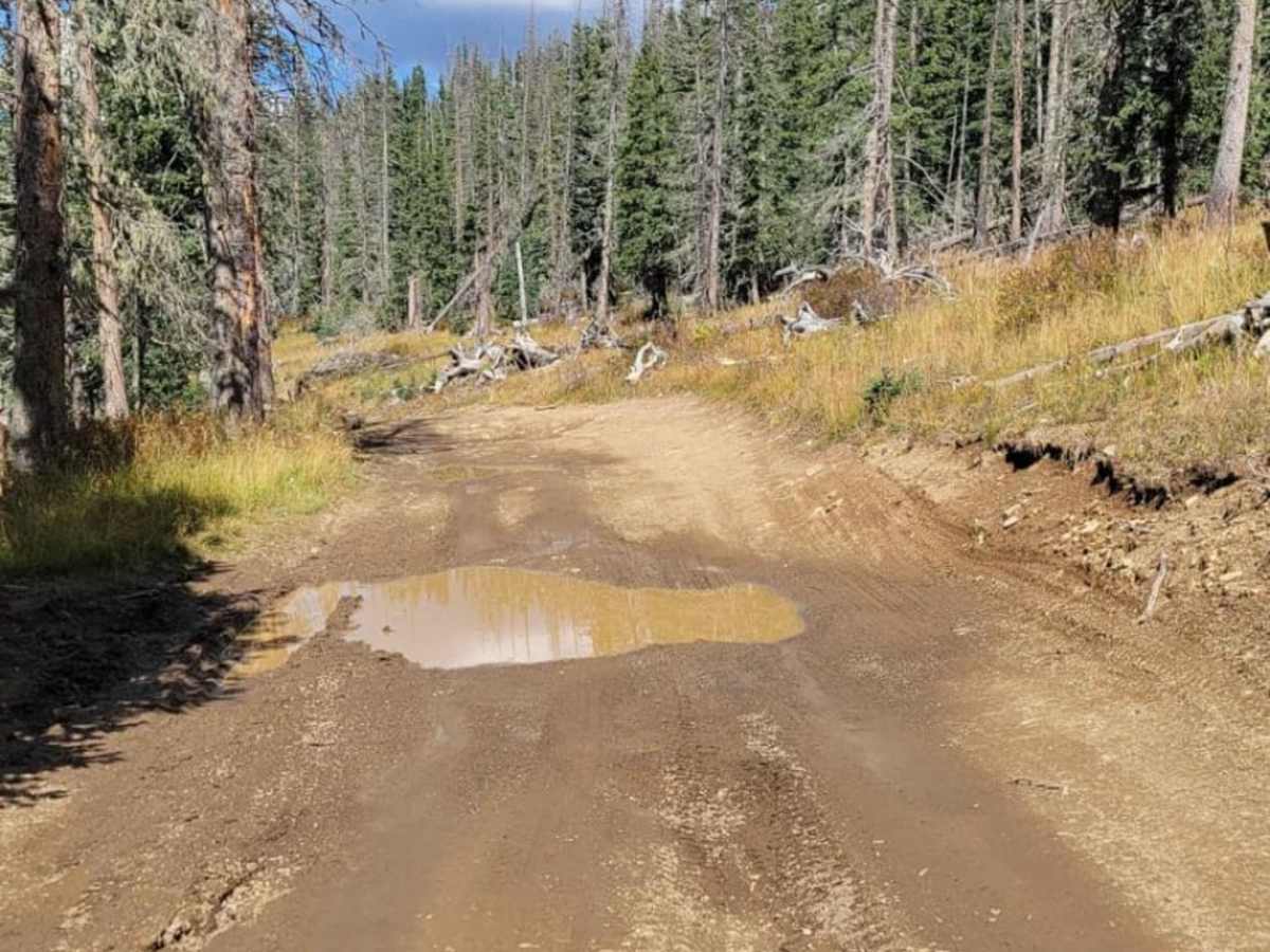 Elk Mountain photo 5