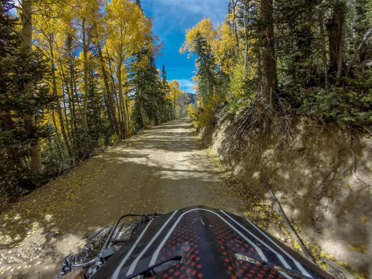 Paiute ATV Trail Cottonwood Canyon Trail 77 photo 4