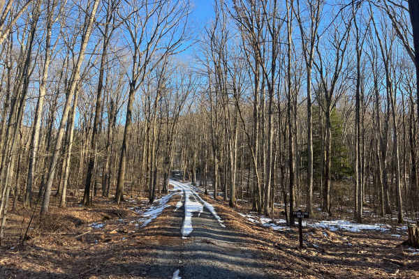 Evans Fire Road