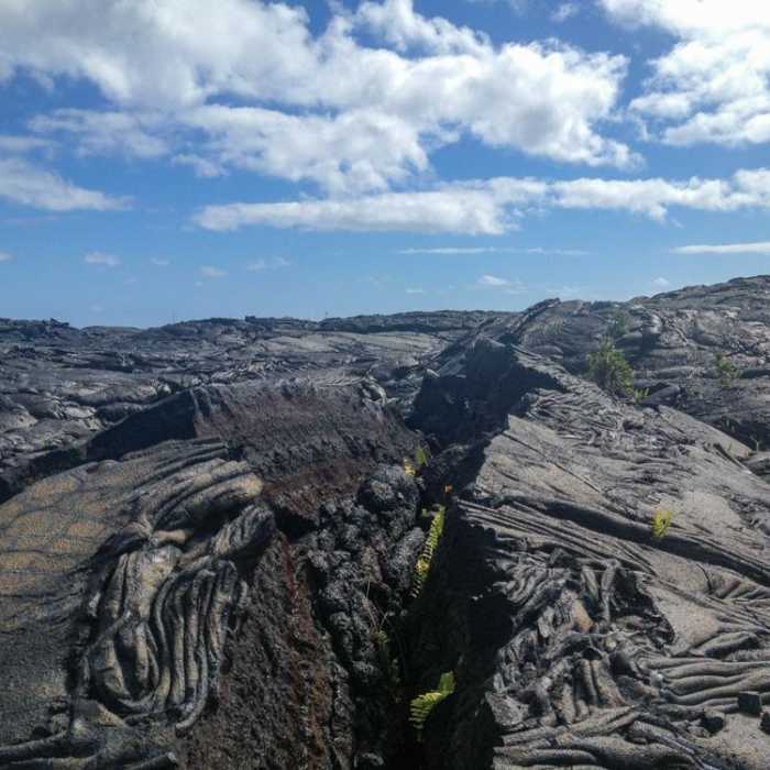 Near Kaimu Black Sand Beach Hike (New Beach) Near Kaimu Black Sand Beach Hike (New Beach)