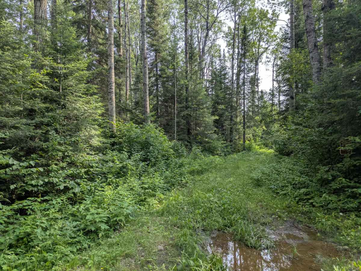 Cascade River Road photo 6