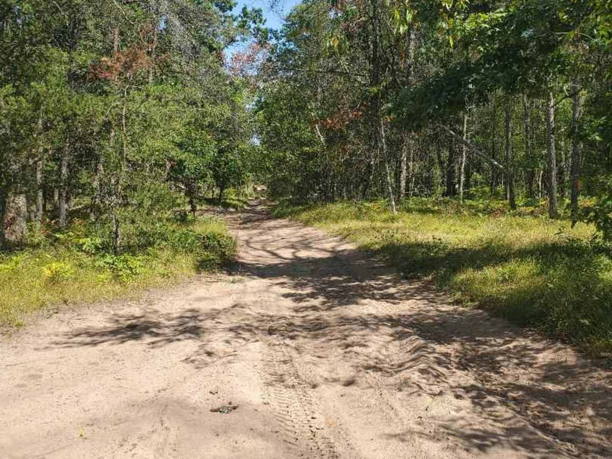 The Outer Dogman Trail trail photo