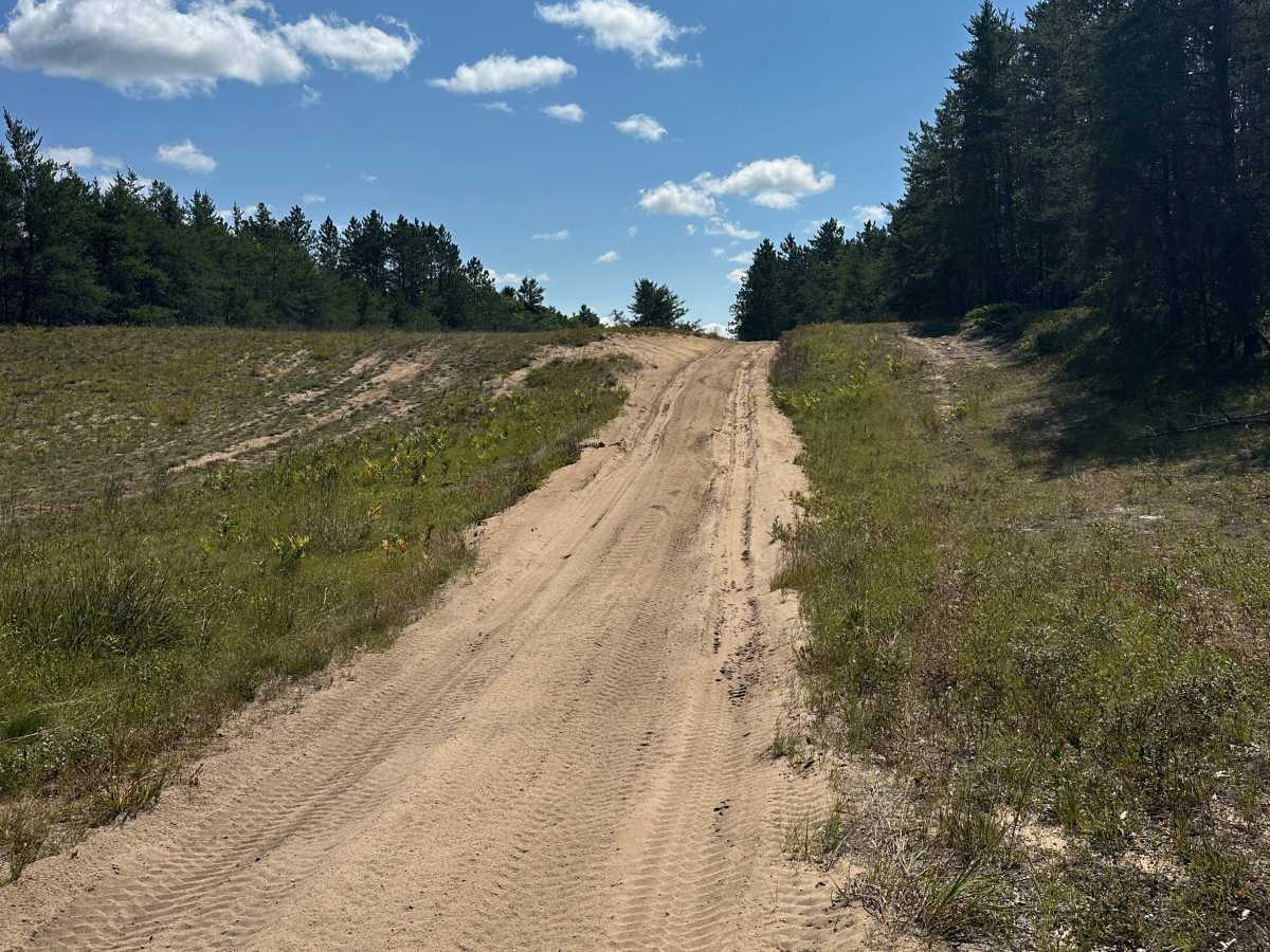 Wilson Spur trail photo