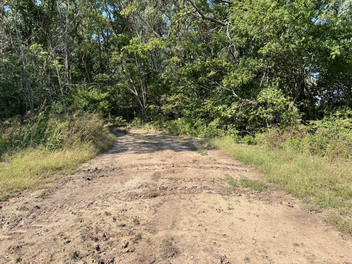 Cummins Corner trail photo