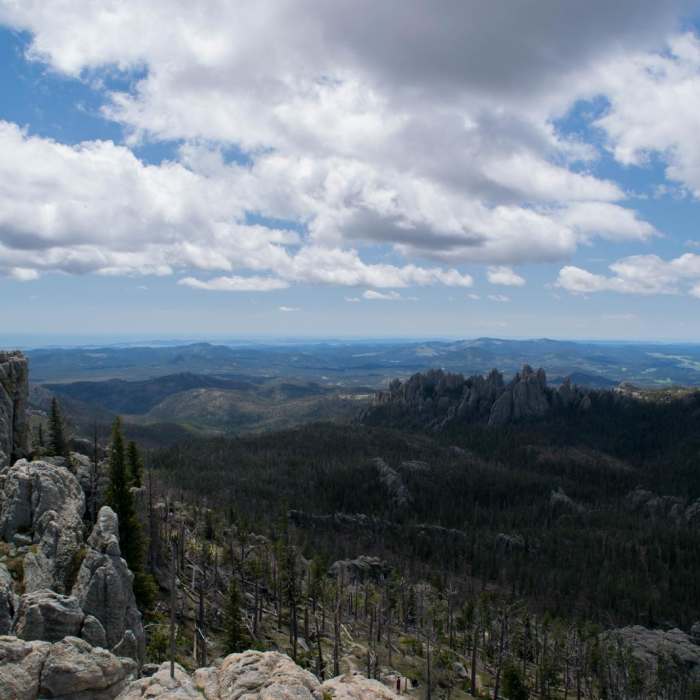 Near Black Elk Peak via Willow Creek Near Black Elk Peak via Willow Creek