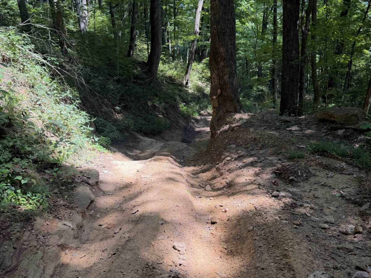 Fred’s Way Trail 28  photo 4