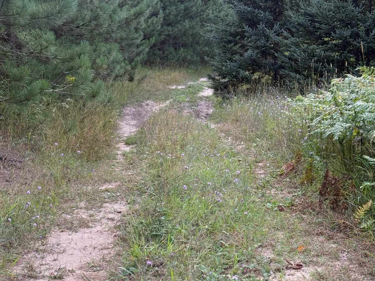 8-3 Powerline Trail photo 4