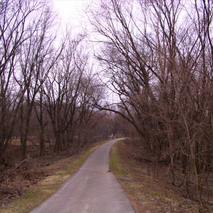 Near Millennium Park Loop