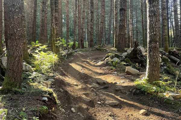 Doubletrack #5