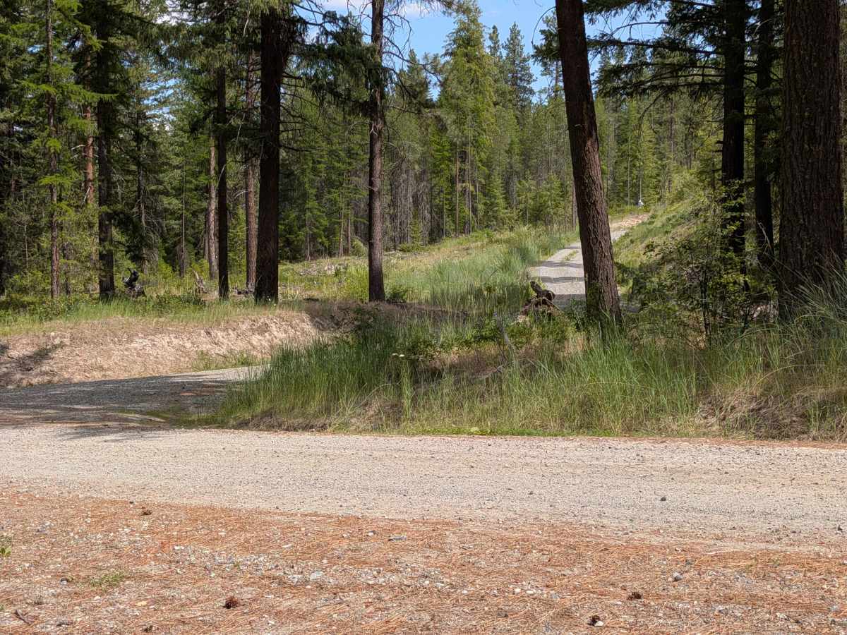 North Cook Mountain Road North half photo 2