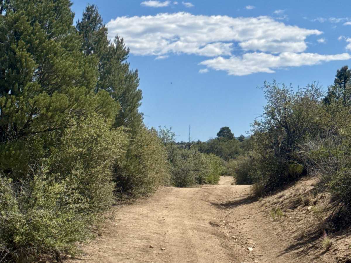 Hackberry Tank  trail photo