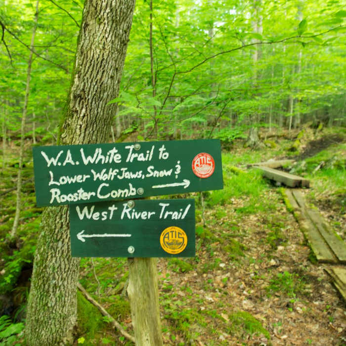 Near The Wolfjaws Near The Wolfjaws