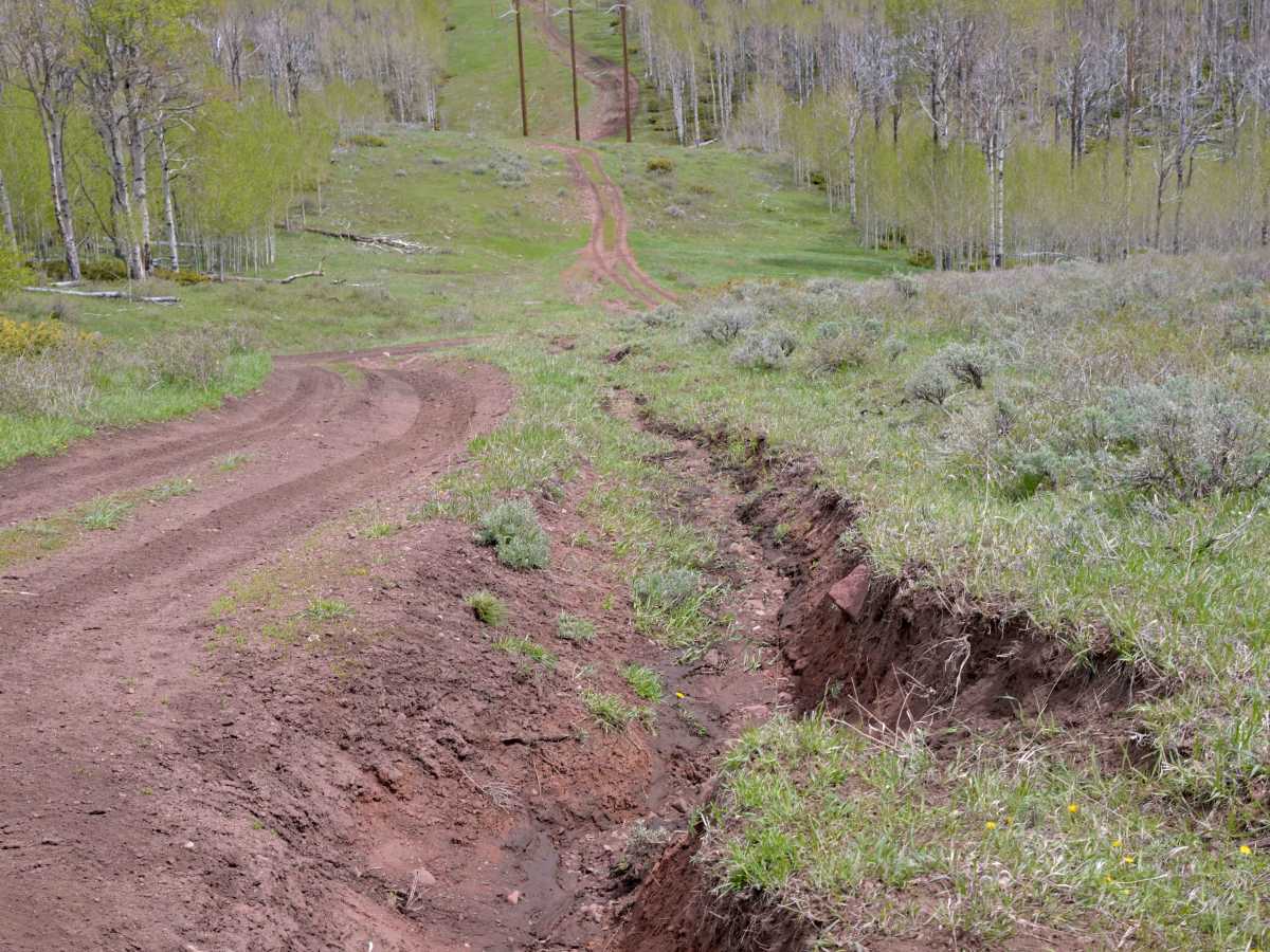 Power Line - FS 10574 trail photo