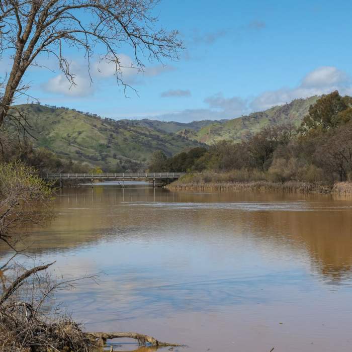 Near Lake Solano Shoreline Trail