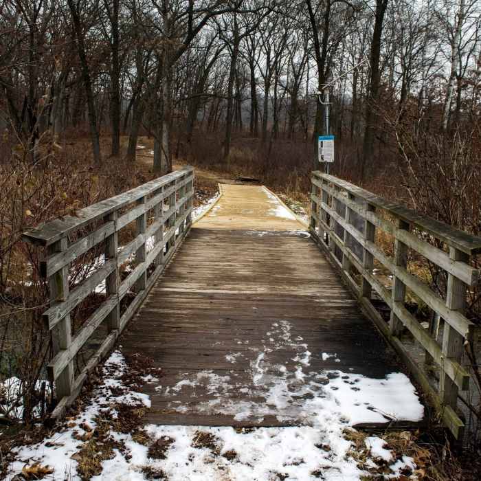 Bridge Near Scuppernong Springs Nature Loop