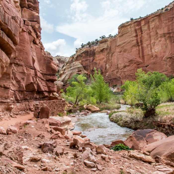 Near Navajo Knobs Out and Back