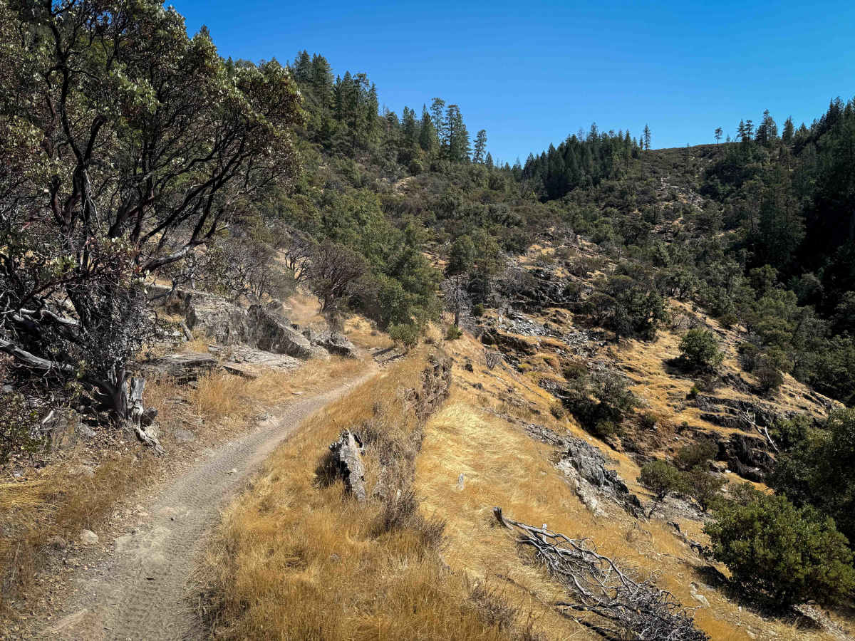 Trail 1-4 (11E42)   trail photo