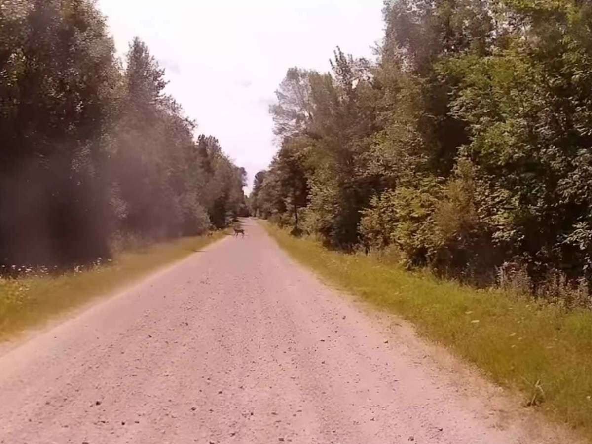 Cassidy Road photo 2