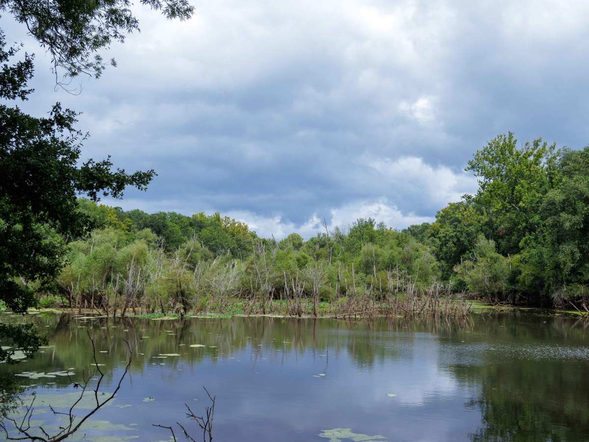 River Road photo 6