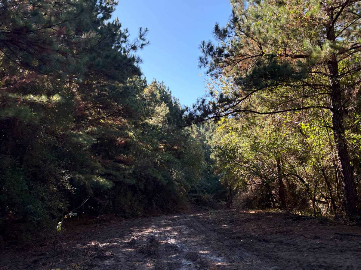 Trail 15 photo 2
