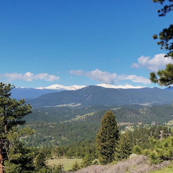 Near American Bison Trail