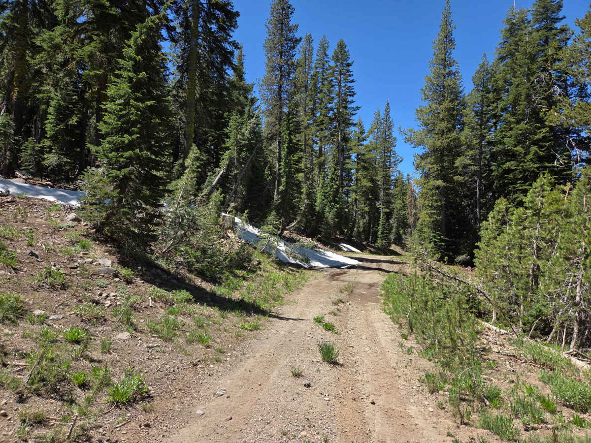 Bear Valley Loop photo 6