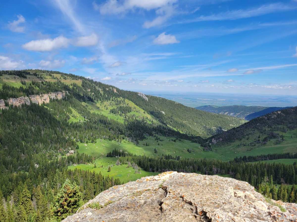 Fools Creek Trails trail photo