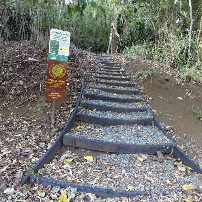 The start of the trail. Near Kanealole Trail
