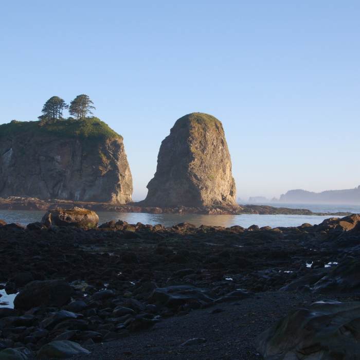 Near Ozette Triangle