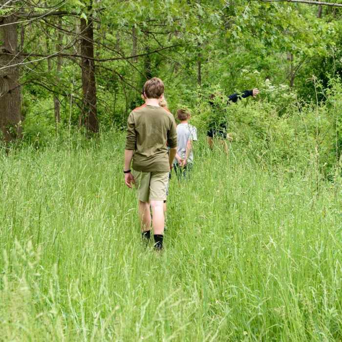 Near Pinhook Upland Trail