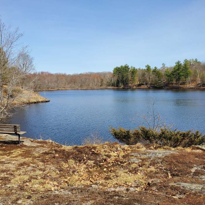 Near Sandi Slater Memorial Walk