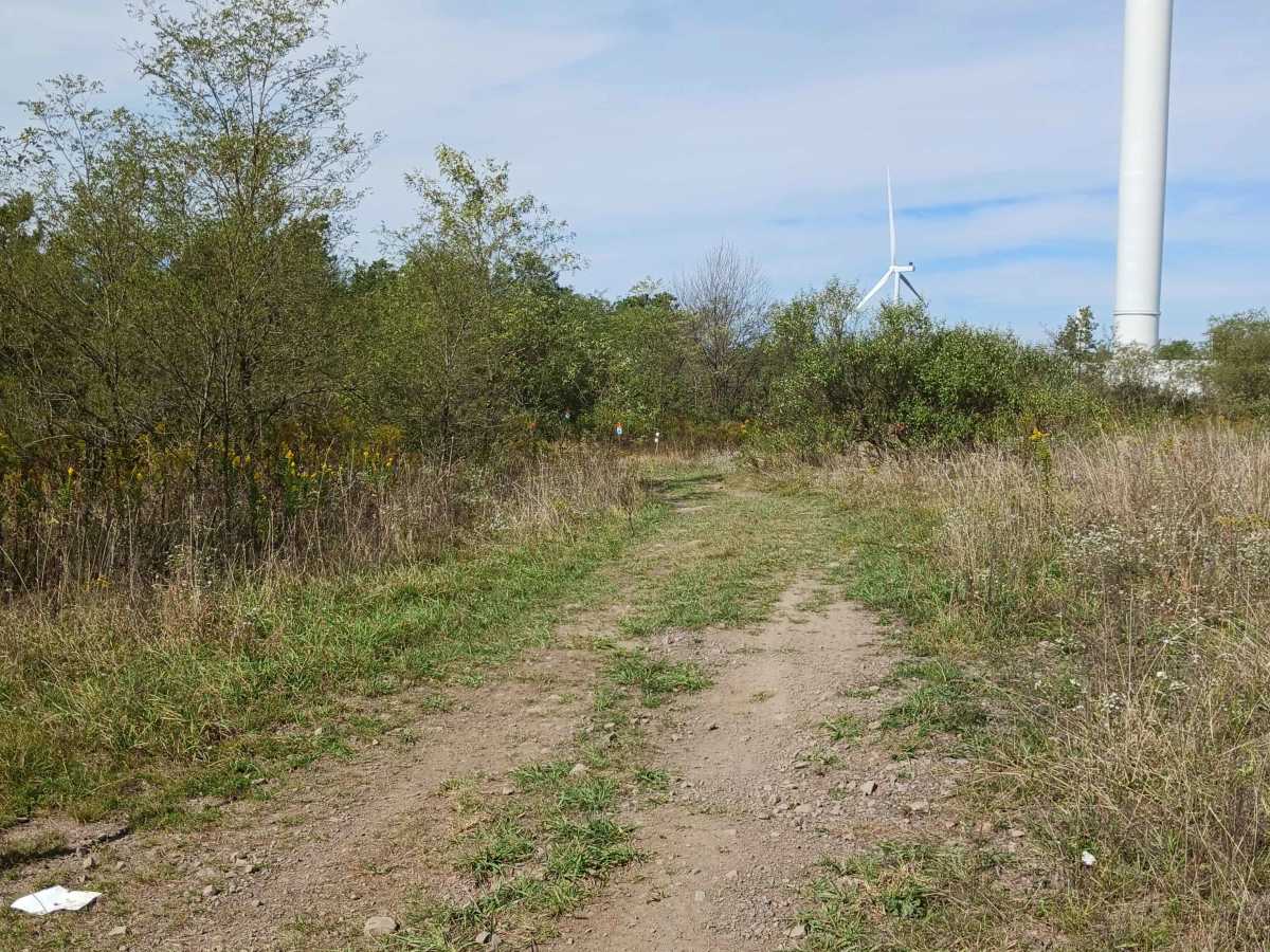 Trail 5D - Rock Run Recreation Area photo 2
