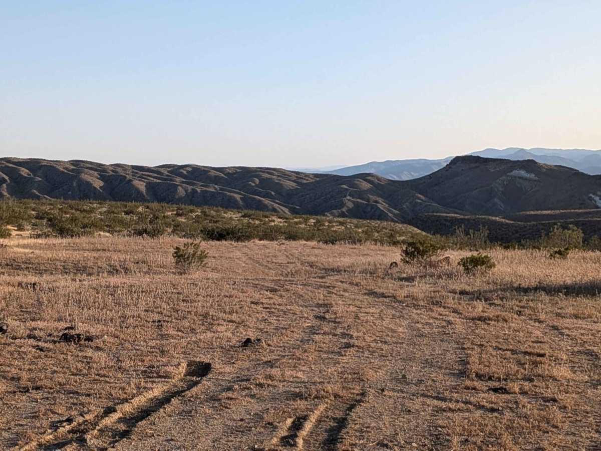 BLM EP15B photo 3