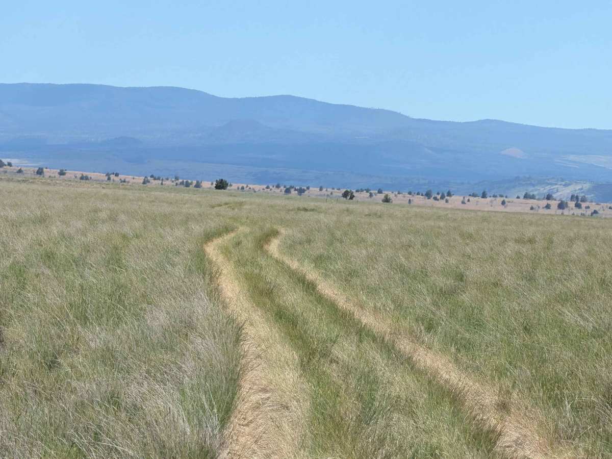 Sheep Camp Butte - FS 47N18 trail photo