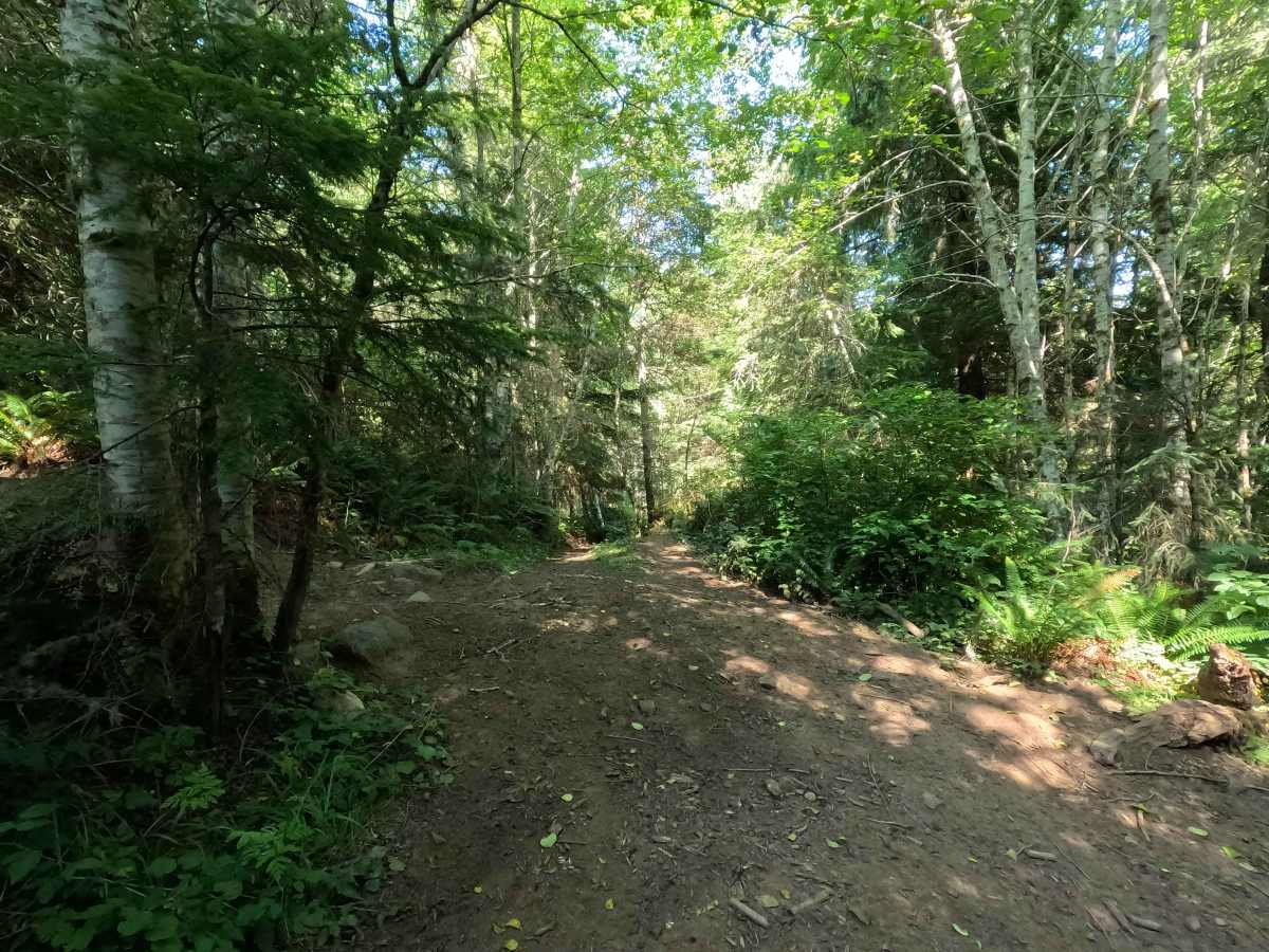 Easy Livin' Road trail photo