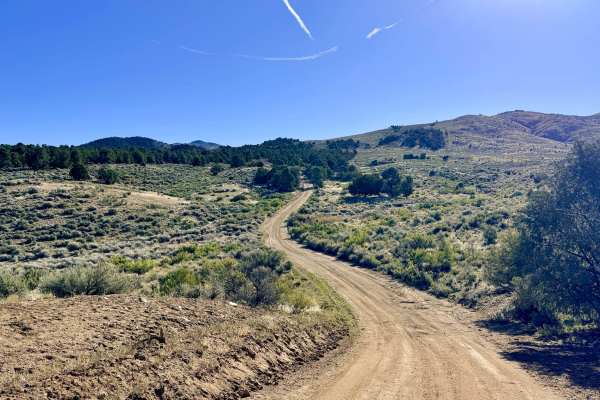 Crow Canyon - FS 43242