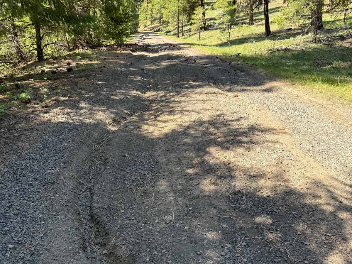 Pine Creek Road photo 3